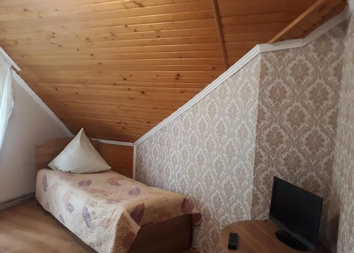 над вичов Motel Volovets